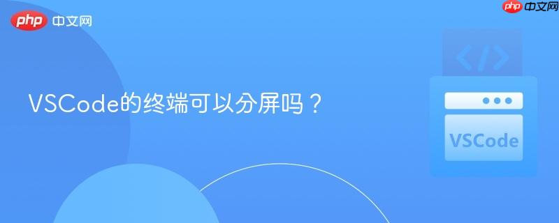 VSCode的终端可以分屏吗？