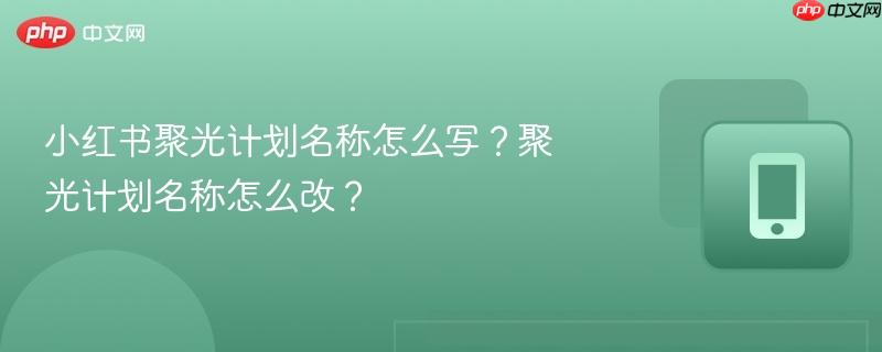 小红书聚光计划名称怎么写？聚光计划名称怎么改？