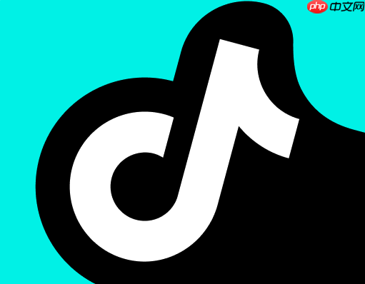 抖音电脑版为什么登录不了_抖音电脑版登录故障排除