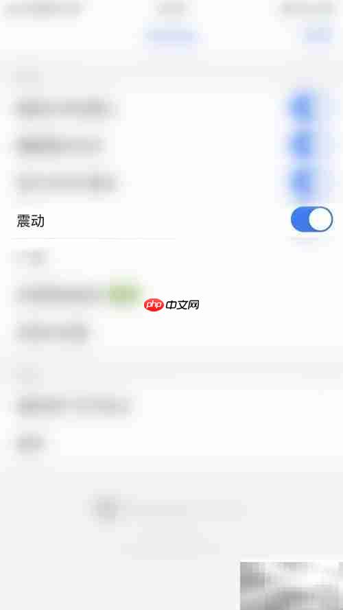 Polaris Viewer关闭震动方法
