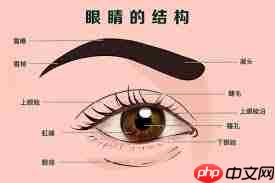 大哭后眼睛肿是怎么回事