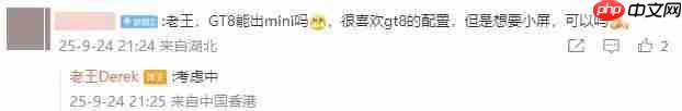  真我考虑推出小屏手机 GT8 mini，没有 GT8 Pro 竞速版 