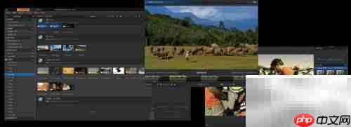 TC EDIT为何是EDIUS首选