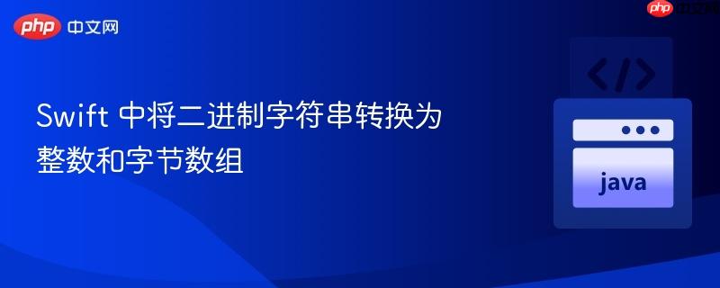 Swift 中将二进制字符串转换为整数和字节数组