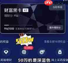 黑色支付宝代表着什么含义