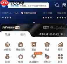 黑色支付宝代表着什么含义