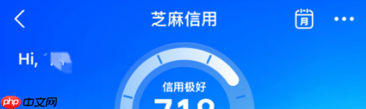 淘宝的先用后付最晚什么时候付款？额度在哪里看？先用后付逾期上征信？3秒查额度+最晚还款日，避坑指南！