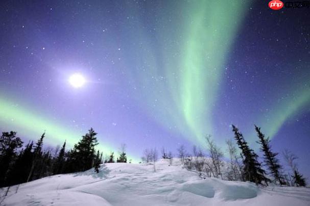 极光影票如何评价已观看电影_极光影票观影评价发布教程