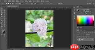 ps如何裁剪图片为固定尺寸