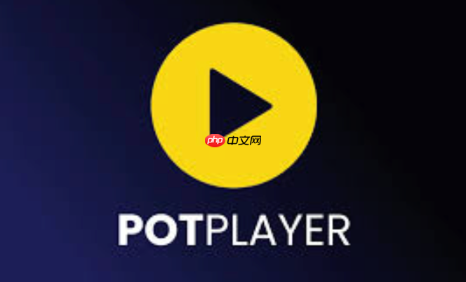 Potplayer怎么启用字幕搜索_Potplayer自动搜索字幕的配置教程