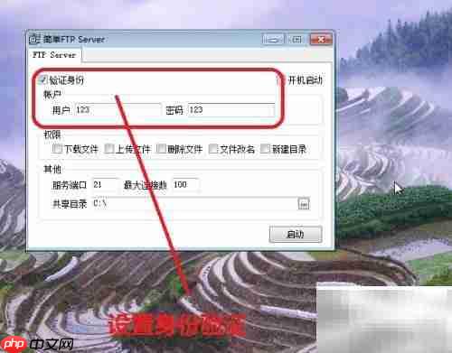 FTP服务端设置指南
