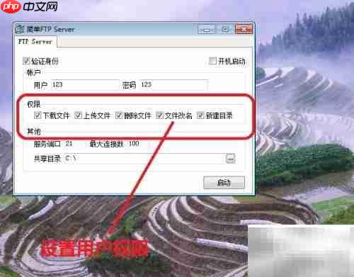FTP服务端设置指南