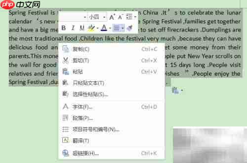 WPS文字翻译Word文档技巧
