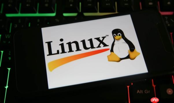 如何在Linux中使用lsblk命令查看磁盘布局？