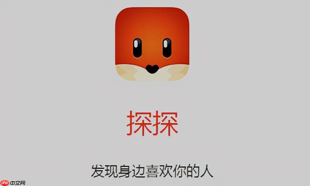 探探收不到消息通知怎么办_探探消息推送设置排查