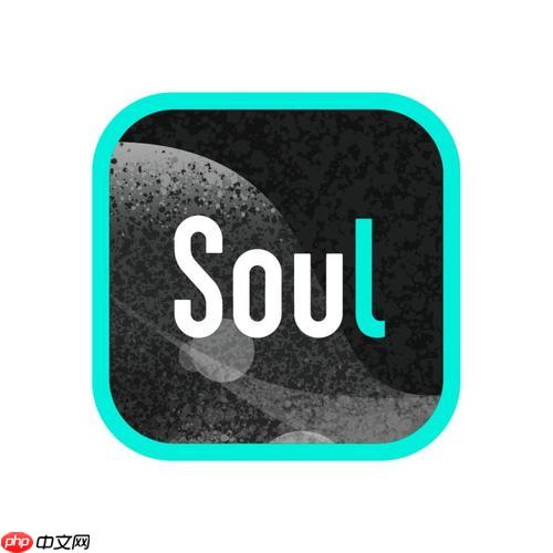 Soul聊天记录丢失怎么找回_Soul聊天记录恢复方法