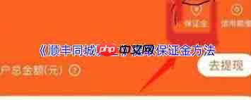 顺丰同城骑士app如何退保证金