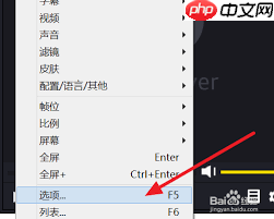 PotPlayer如何设置自动记忆播放位置