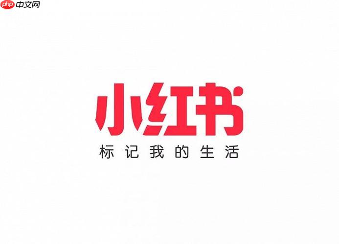 小红书千帆APP如何开直播_小红书千帆APP直播功能开通与使用