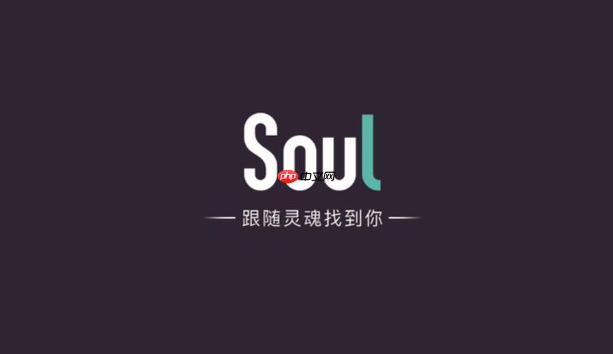 Soul怎么查看谁来过我的主页_Soul访客记录查看路径