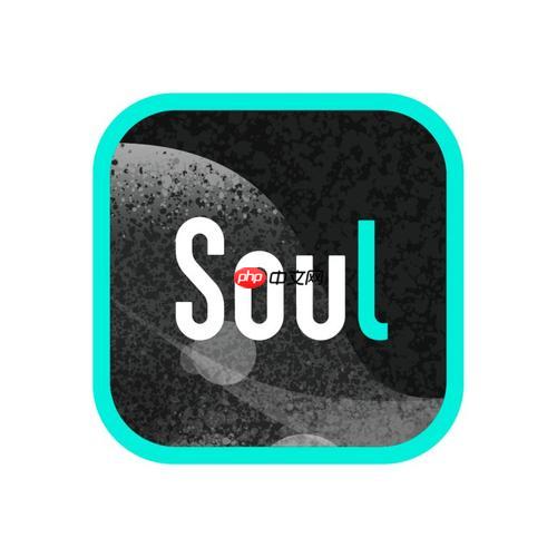 Soul视频通话卡顿怎么解决_Soul视频通话卡顿处理