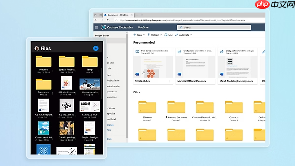 OneDrive如何设置文件标签_OneDrive文件标签添加教程
