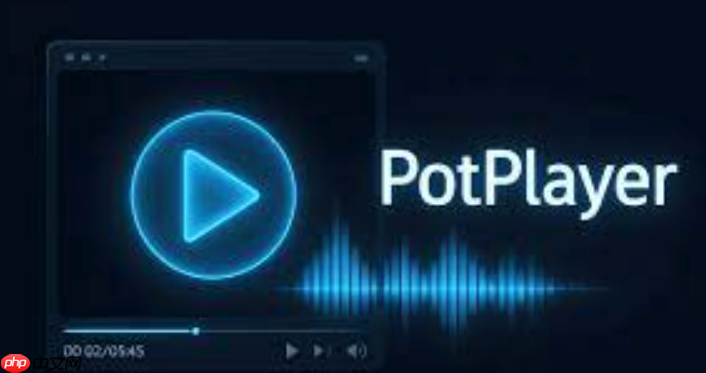 Potplayer如何修复黑屏问题_Potplayer解决黑屏问题的实用方法