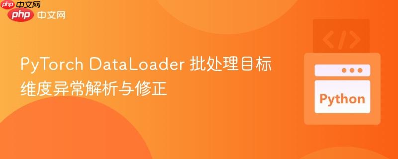 PyTorch DataLoader 批处理目标维度异常解析与修正
