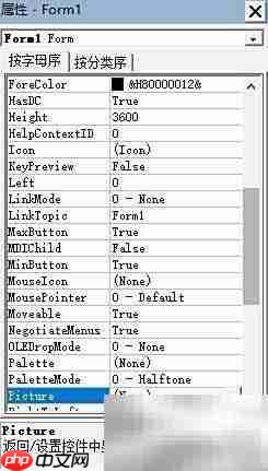 VB添加背景图片方法