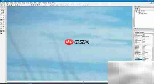 VB添加背景图片方法