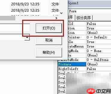VB添加背景图片方法