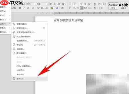 WPS文档即点即输技巧
