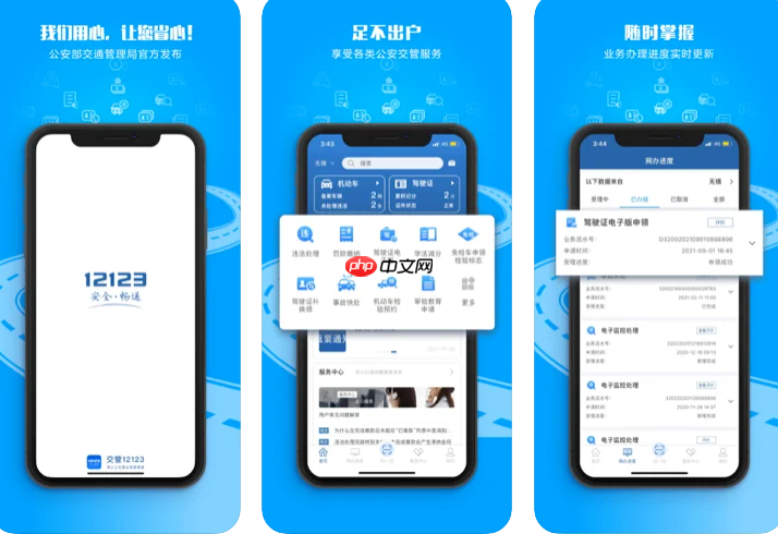 交管12123期满换证照片上传要求是什么_交管12123期满换证照片上传规范