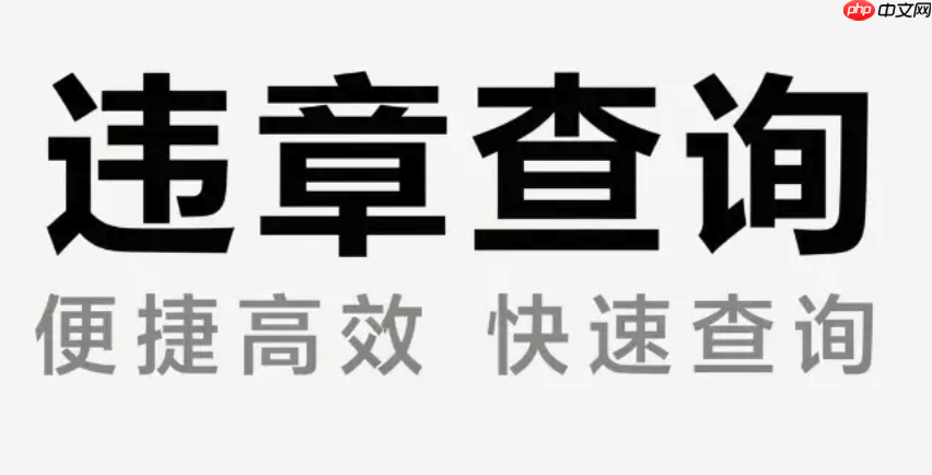 交管12123期满换证照片上传要求是什么_交管12123期满换证照片上传规范