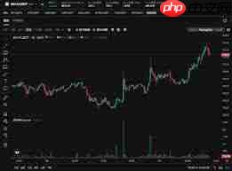 BCH币是否值得长期持有