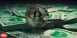 BCH币是否值得长期持有