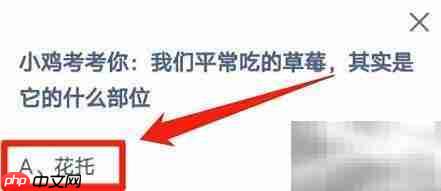 草莓我们吃的是哪个部位？