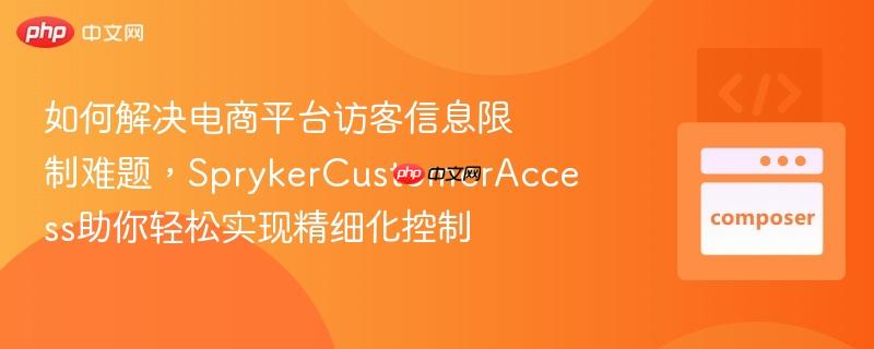 如何解决电商平台访客信息限制难题，SprykerCustomerAccess助你轻松实现精细化控制
