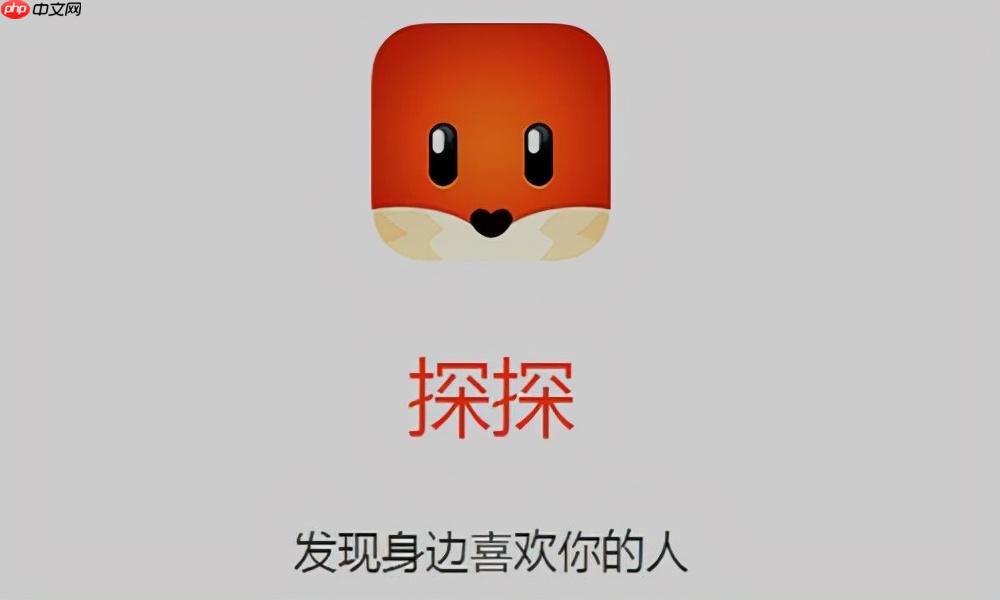 探探App怎么下载_探探官方最新版安装教程