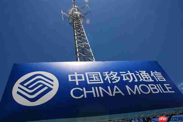 中国移动：AI投入翻一番 建成国内规模最大智算基础设施