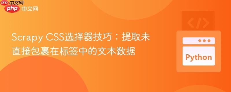 Scrapy CSS选择器技巧：提取未直接包裹在标签中的文本数据