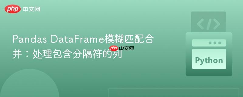 Pandas DataFrame模糊匹配合并：处理包含分隔符的列