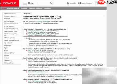 Oracle数据库下载指南