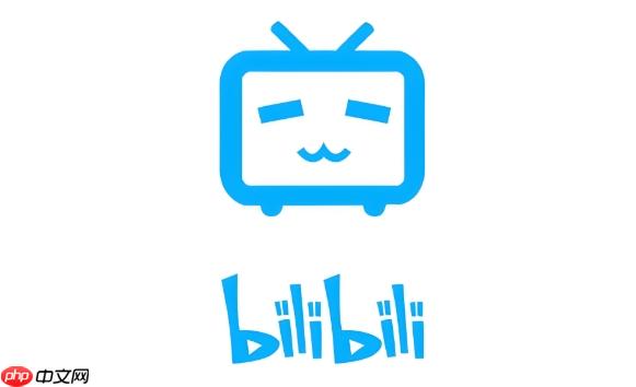 bilibili客户端如何下载视频_bilibili客户端视频下载的实用指南