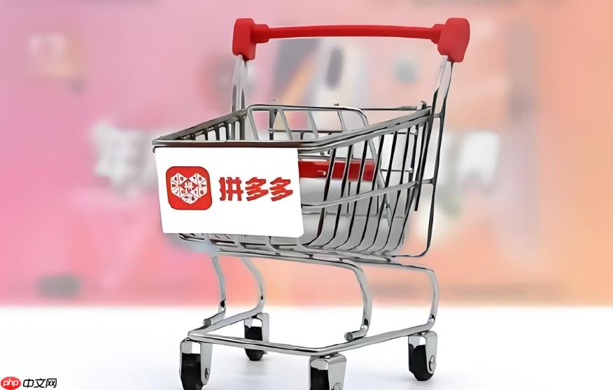 拼多多网页版官方入口 拼多多在线购物平台