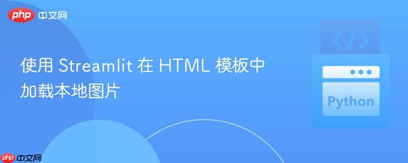 使用 Streamlit 在 HTML 模板中加载本地图片