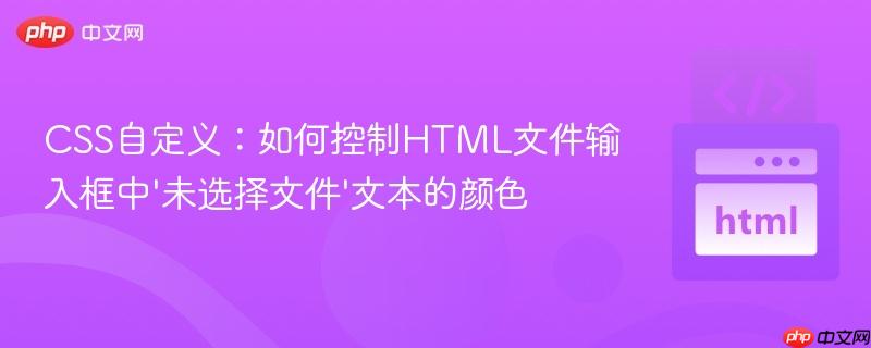 CSS自定义:如何控制HTML文件输入框中'未选择文件'文本的颜色