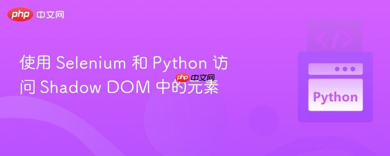 使用 Selenium 和 Python 访问 Shadow DOM 中的元素