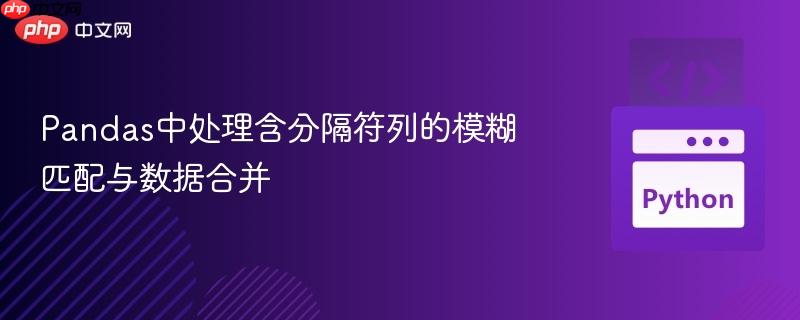 Pandas中处理含分隔符列的模糊匹配与数据合并