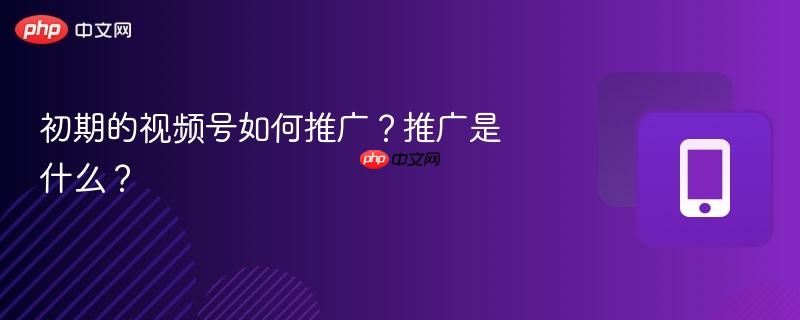 初期的视频号如何推广？推广是什么？